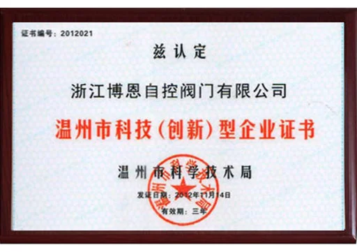 Wenzhou Science and Technology Innovation Enterprise