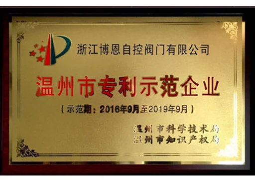 Wenzhou Patent Demonstration Enterprise